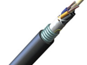 The armored Fiber ntambu possesses several protective characteristics that contribute to its durability and reliability